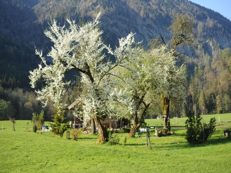 Hansenbauernhof Inkl. Chiemgaukarte Ruhpolding Exterior photo